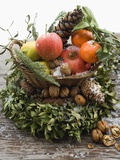 Christmas Decoration: Fruit  Nuts  Cones and Box Wreath