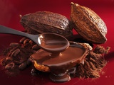 Chocolate Sauce  Cocoa Powder  Cocoa Beans and Cacao Fruits
