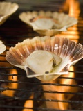 Scallops on Barbecue
