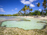 Dominican Republic  Samana Peninsula  Las Galleras  La Playita Beach