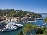 Portofino  Riviera Di Levante  Liguria  Italy