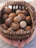 Hands Holding Basket of Hazelnuts