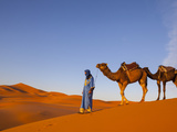 Camel Driver  Sahara Desert  Merzouga  Morocco  (MR)