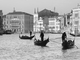 Gondoliers on the Gran Canal  Venice  Veneto Region  Italy