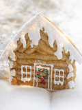 Maple Log Cabin (Gingerbread House with Maple Syrup  USA)