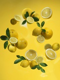 Whole and Half Lemons with Leaves