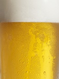 Glass of Beer with Condensation