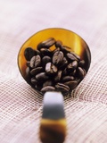 Roast Coffee Beans in a Spoon