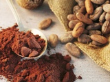 Roasted Cocoa Beans in Jute Sack and Cocoa Powder