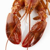 Detail of a Cooked Lobster