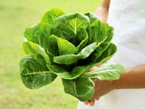 A Woman Holding a Lettuce