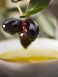 Olive Sprig with Black Olives over Bowl of Olive Oil