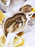 Oysters with Lemons on Ice  Glass of Sekt