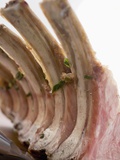 Rack of Lamb