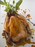 Roast Chicken with Fresh Herbs