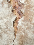 Rustic Bread