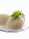 Mozzarella with Basil on Plastic Spoon