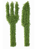 Knife and Fork in Cress