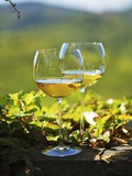 Two Glasses of White Wine Against the Friaul Landscape of Italy