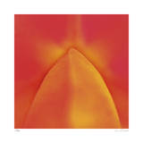 Orange Red Orchid Abstract