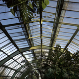 Museum National d'Histoire Naturelle  Jardin des Plantes (Botanical Gardens)  Paris  France