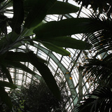 Museum National d'Histoire Naturelle  Jardin des Plantes (Botanical Gardens)  Paris  France