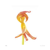 Orange Tulip No 3
