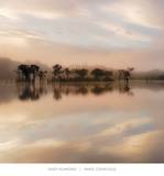 Dawn Mist on the Amazon