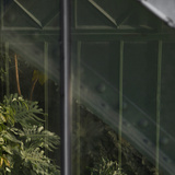 Museum National d'Histoire Naturelle  Jardin des Plantes (Botanical Gardens)  Paris  France