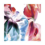 Botanical 4