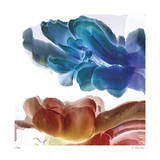 Botanical 12
