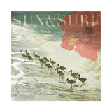 Sun and Surf