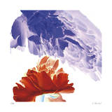 Botanical 9