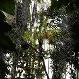 Museum National d'Histoire Naturelle  Jardin des Plantes (Botanical Gardens)  Paris  France