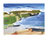 Ocean Cliffs