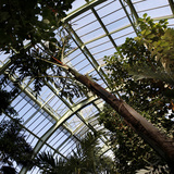 Museum National d'Histoire Naturelle  Jardin des Plantes (Botanical Gardens)  Paris  France