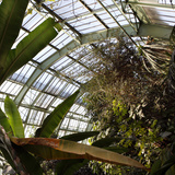 Museum National d'Histoire Naturelle  Jardin des Plantes (Botanical Gardens)  Paris  France