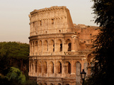 Colosseum  Rome  Italy