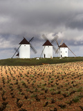 Windmill  Castilla la Mancha  Spain