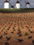 Windmill  Castilla la Mancha  Spain