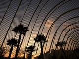 City of Arts and Sciences  Valencia  Spain