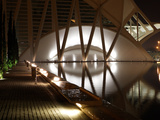 City of Arts and Sciences  Valencia  Spain