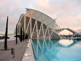 City of Arts and Sciences  Valencia  Spain