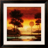 Evening Light I