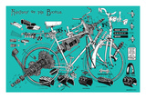 Anatomy of a Bicycle