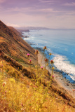 Sonoma Coast Mist