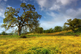 Spring at Shell Creek