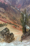 Canyon Portrait  Grand Canyon of the Yellowstone