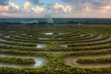 Scene at Kapalua Labyrinth Maui