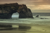 Scene at Natural Bridges  Santa Cruz